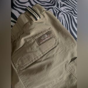 The north face cargo pants